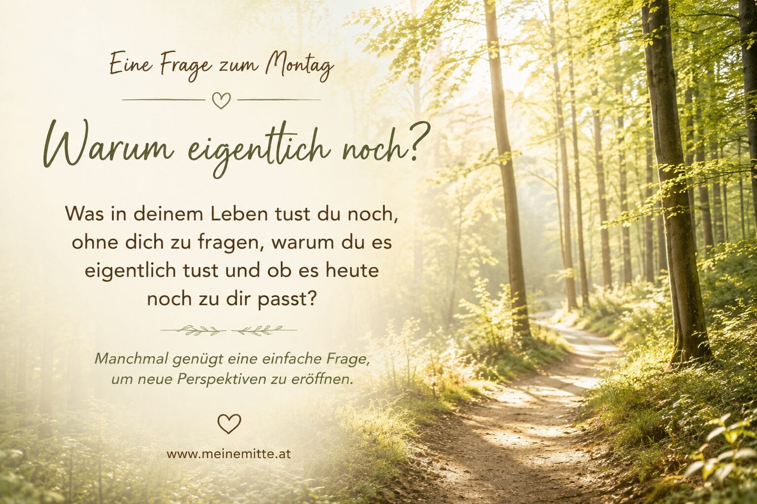 Du betrachtest gerade „Warum eigentlich noch?“ Durch Fragen zu neuen Perspektiven